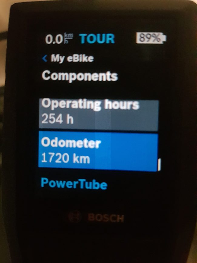 Bateria Bosch Powertube 500 horizontal MX 2021 oneride Desierto de los Leones DF